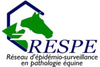 logo-respe-ok_largeL