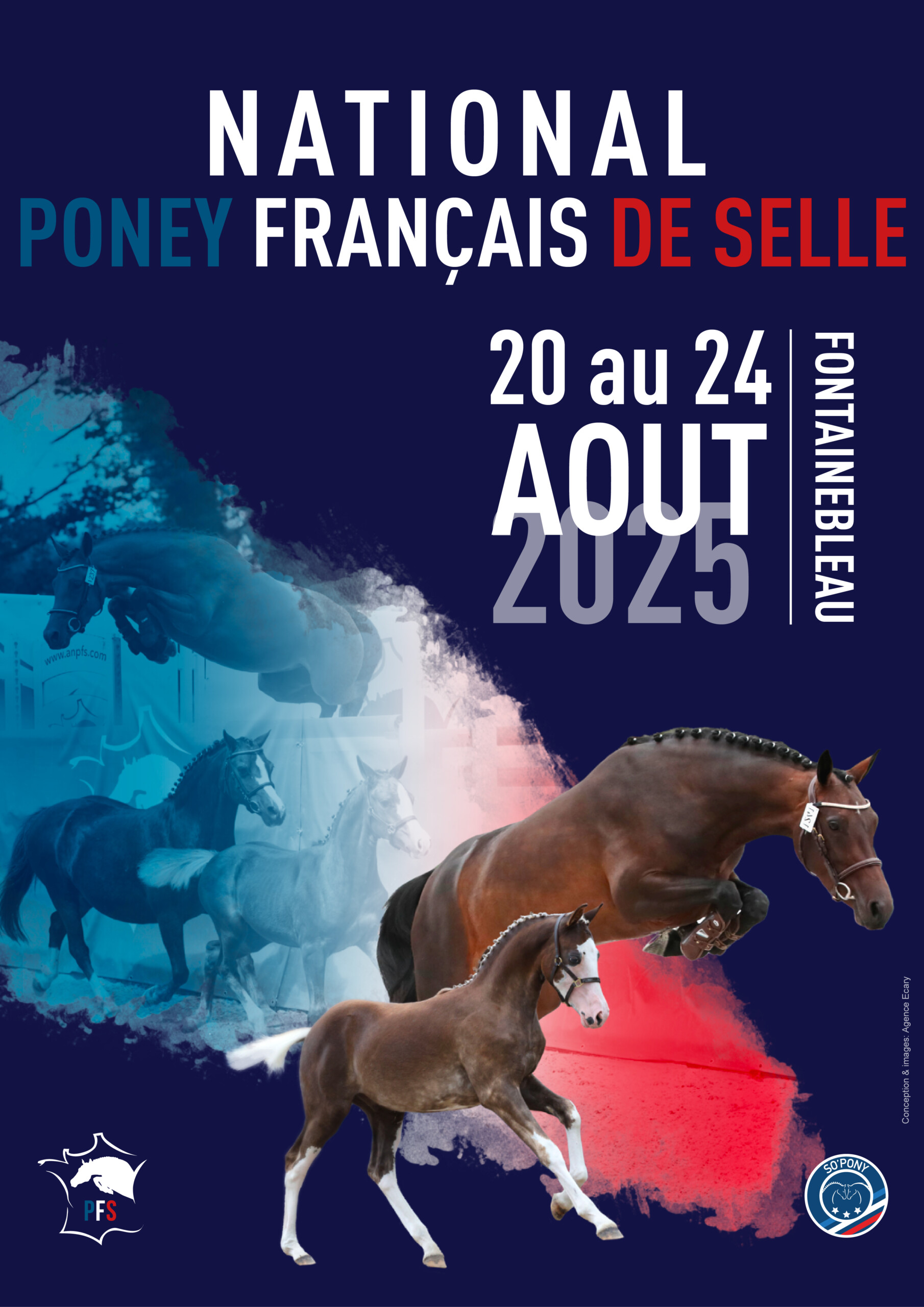 Affiche National PFS