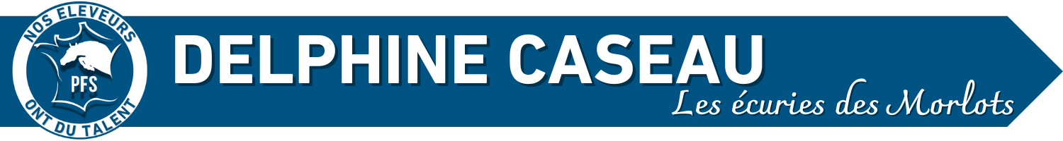 Delphine Caseau site